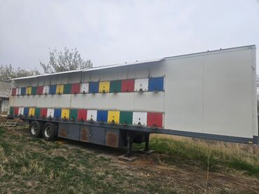 медагонка медогонка: Продаётся пасека на 72 пчелосемьи рамка Рутта, гнездо 20 рамок + 2