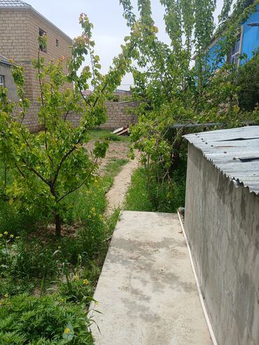 Uzunmüddətli kirayə evlər: 70 kv. m, 3 otaqlı, Kombi, Qaz, İşıq