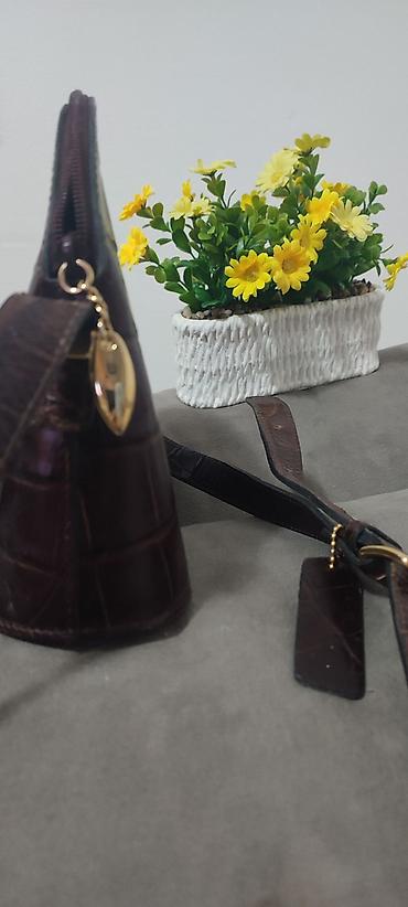 Torbe: Kroko koza,cvrsta,kais na podesavanje,unutra jedna zatvorena ptegrada — 2