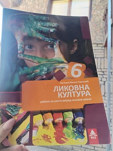erika lalic: LIKOVNA KULTURA 6 – udžbenik za šesti razred osnovne škole (BIGZ) - — 1