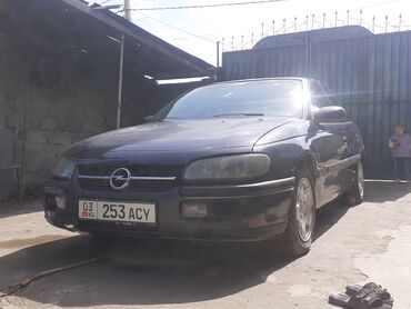 Opel: Opel Omega: 1995 г., 3 л, Механика, Бензин, Седан — 6