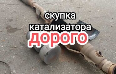 спринтер пассажир продажа: Катализатор сатып алабыз, эн кымбат баада катализатор, Куплю Скупка