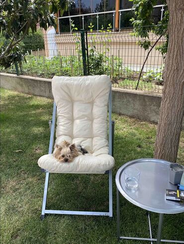 Bağ kresloları: Həm şezlonqlar həm də sehpa qatlana bilir, komfortludur, bağ evi — 7
