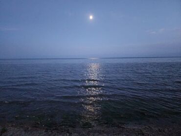посудамойщица на дом: Две посудомойщицы ищут работу, европейки 23 и 48 лет, оплата lalafo.kg да посудамойщица на дом: Две посудомойщицы ищут работу, европейки 23 и 48 лет, оплата