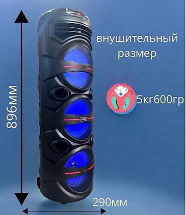 se electronics: Калонка KTS 1280 в комплекте идёт микрафон, пульт, зарядка — 4