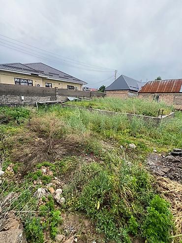 арча ош: 🏡 Продается земельный участок с домом — Арча-Бешик — 4