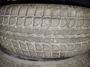 шины мтз: Шиналар 235 / 65 / R 17, Кыш, Колдонулган, Камдык, Кытай, Maxtrek