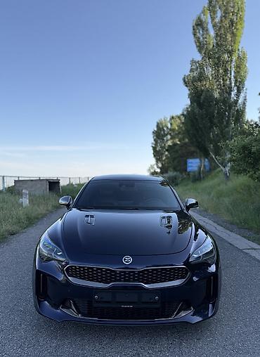 Kia: Kia Stinger: 2019 г., 2 л, Автомат, Бензин, Седан — 1