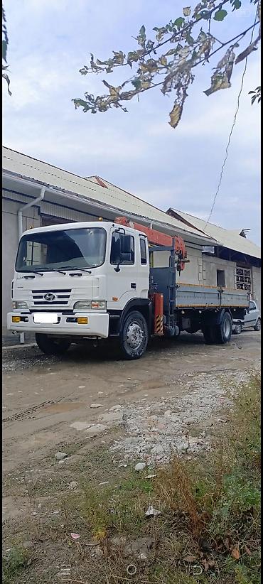 Манипулятор, Hyundai, 2007 г., 5 т — 4