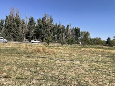 Продажа участков: 27000 соток, Для строительства, Договор купли-продажи — 6