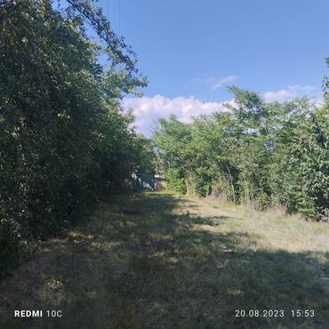 Torpaq sahələrinin satışı: 25 sot, Kupça (Çıxarış) -da lalafo.az — 11 Torpaq sahələrinin satışı: 25 sot, Kupça (Çıxarış) — 11