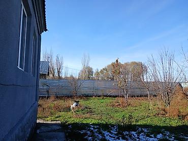 Продажа коттеджей и домов: Продаётся большой дом в селе Петровка с большим участком 40 — 6