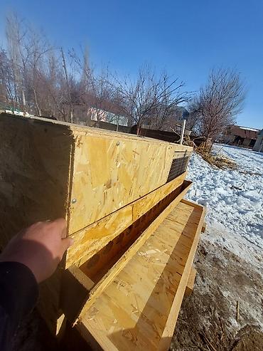 Товары и оборудование для с/х животных: Жөжөлөрго Бурдерлер Жөжө Капас Бар жөжөгө Ар кыл размер ар кыл баада at lalafo.kg — 5 Товары и оборудование для с/х животных: Жөжөлөрго Бурдерлер Жөжө Капас Бар жөжөгө Ар кыл размер ар кыл баада — 5