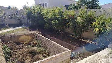 Продажа дач: Satılır: Məştağada bağ evi və torpaq sahəsi satılır -10 sot torpaq və — 2