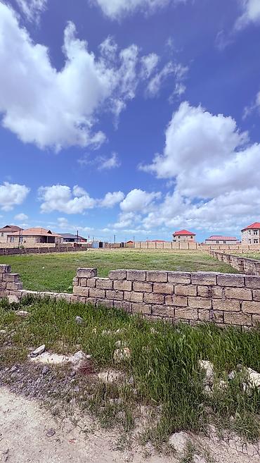 savalan torpag: 3 sot, Tikinti, Mülkiyyətçi, Kupça (Çıxarış) — 3