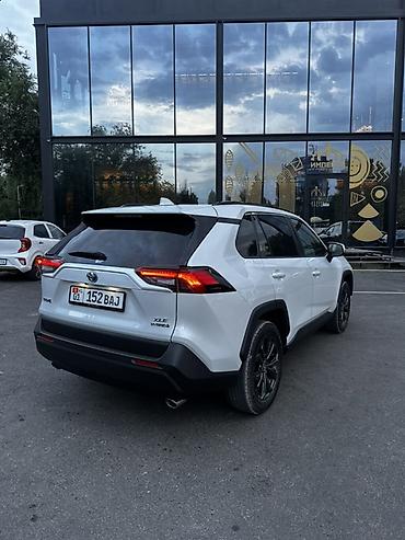 2023: Toyota RAV4: 2023 г., 2.5 л, Гибрид, Кроссовер — 6