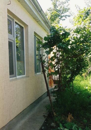 тыныстанова киевская: 25 кв. м, 1 бөлмө