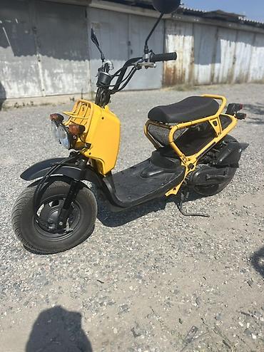 devo tiko: Скутер Honda Zoomer/Ruckus 50cc - Одноцилиндровый мотор с вариатором — 1