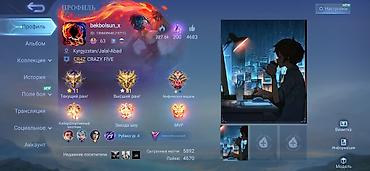 Другие комплектующие: Игровой аккаунт Mobile Legends: Bang Bang Основное: - Регион профиля — 1