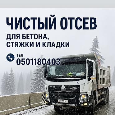 oc cinema: ТАЗА ОТСЕВ — 1