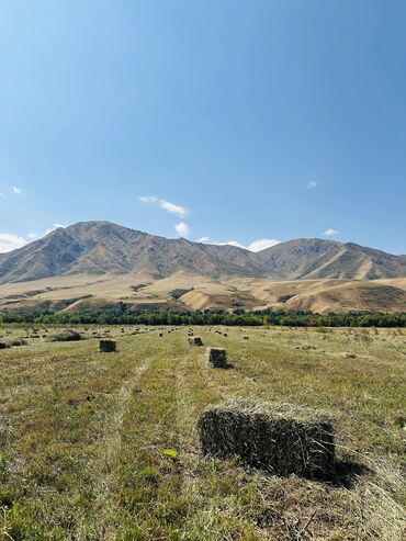 сварщик ищу работу: Требуется Скотник, Оплата Ежемесячно, Питание