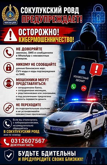 собака як: Продаю | Овца (самка) | На забой — 6