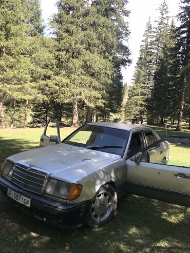 Mercedes-Benz: Mercedes-Benz W124: 1988 г., 2 л, Автомат, Бензин, Седан