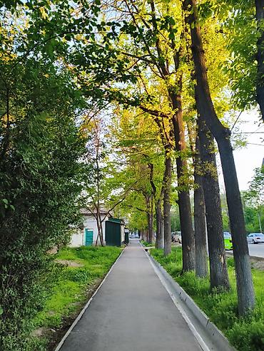Продажа коттеджей и домов: Продаю или меняю дом! 🏡 Продаётся дом в центре Бишкека — ул. Раззакова — 9