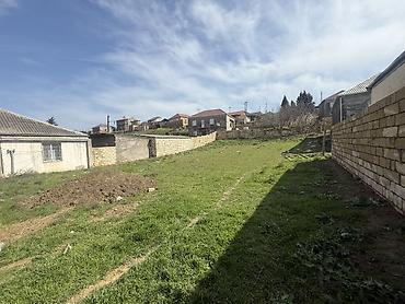 novxani gunluk evlər: 7 sot, Tikinti, Mülkiyyətçi, Kupça (Çıxarış) — 3