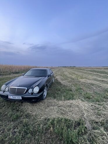 корея машина: Mercedes-Benz E-Class: 1999 г., Автомат, Седан