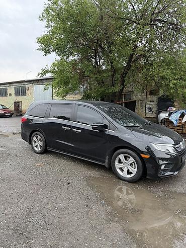 infinity fx35: Honda Odyssey: 2019 г., 3.5 л, Автомат, Бензин, Минивэн — 1