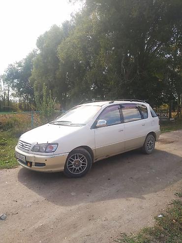 transporter multivan: Toyota Ipsum: 1997 г., 0.2 л, Автомат, Бензин, Минивэн — 1