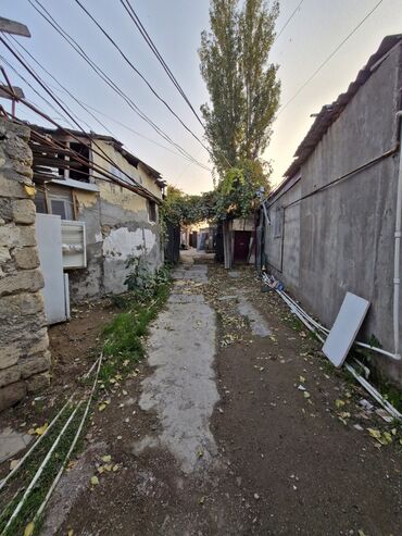 Uzunmüddətli kirayə evlər: Kirayə verilir. Ünvan: Yasamal, "Kaktus" adlanan ərazidə Qaz, Su — 1