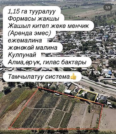 арловка участок: 115 соток, Для бизнеса, Красная книга, Договор купли-продажи — 3
