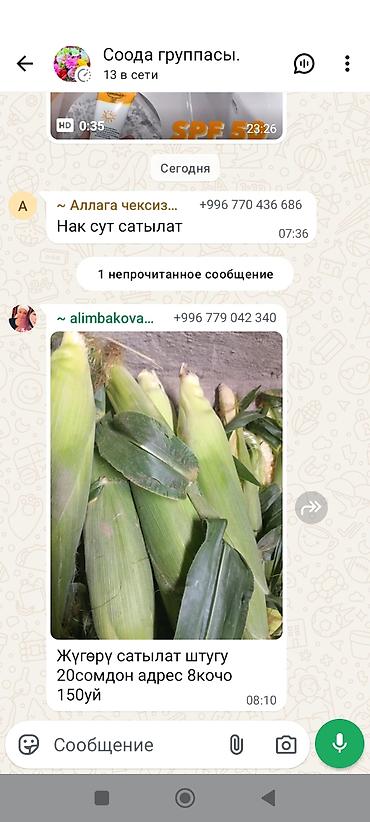 кукуруа: Кукуруза В розницу — 3
