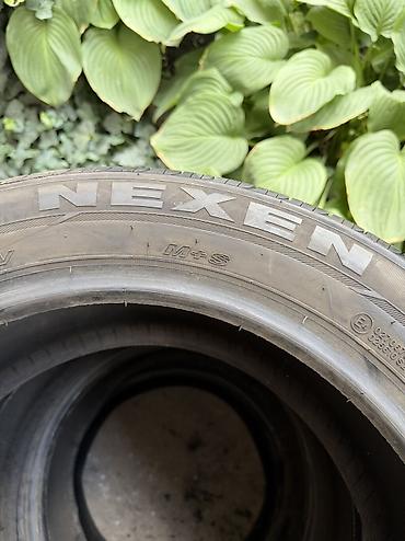 2155517: Шины 215 / 55 / R 17, Лето, Б/у, Комплект, Легковые, Корея, Nexen — 4