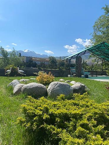 Иссык-Куль 2026: Номер, Аист Тамга — 7