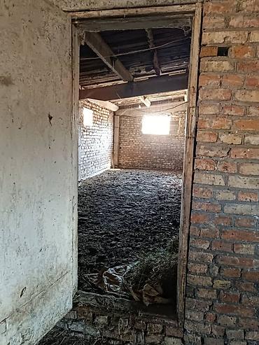 степной: Farm КРС, 1 соток, Действующий, Без оборудования, Электричество — 2