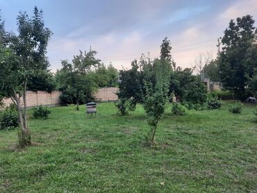 дача с бассейном аренда баку: 29 соток, Для бизнеса, Собственник, Купчая