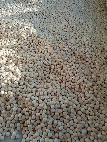 Масло, консервы: Атбашынын
Эркек Сары май
Кол куруту
Тоо балы
Чөбөгө(Тыбыт) — 12