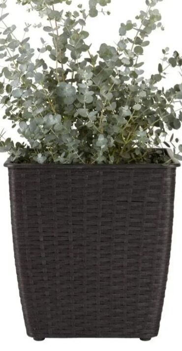 Vaze i saksije: Saksija, bоја - Šareno, Novo — 8