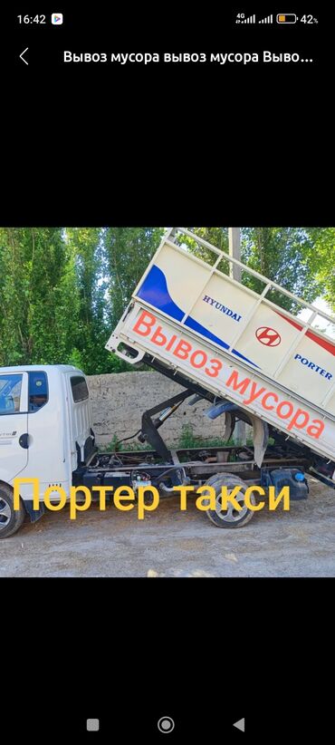 Грызуны: Вывоз мусора вывоз мусора вывоз Вывоз мусора вывоз мусора вывоз