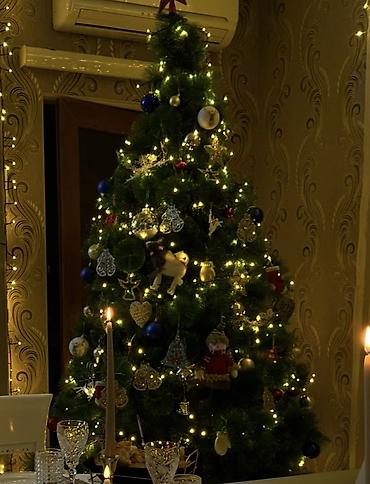 топаш: 🎄 Süni yolka satılır! Hündürlüyü təxminən 2 metrdir. Yaxşı — 2