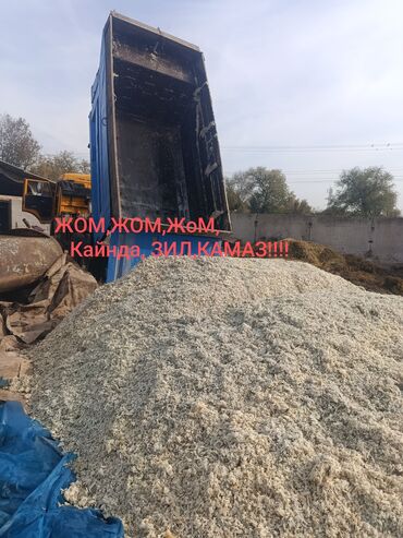 французский бульдог цена щенка: ЖОМ!ЖОМ!Кайнда ЗИЛ КАМАЗ доставка по всей Чуйской области ! цена