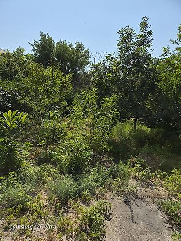 qusarda yer satilir: Həyətyanı torpaq sahesi 4 sot yarimdir sokar poliklinka ilr uzbruz su — 5