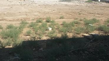 28 may metro: 5 sot, Tikinti, Mülkiyyətçi — 5
