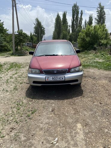 арзан машина ошто: Honda Odyssey: 1994 г., 2.2 л, Автомат, Бензин, Вэн/Минивэн