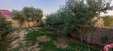 yasmada torpaq: Çox TƏCİLİ ƏLİMYANDI SATILIRHasarlı daş hasarla əhatələnmiş həyət — 3