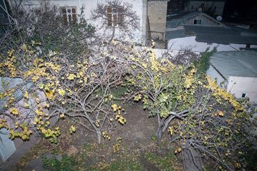 Binalar: 🔥🔥İŞ ADAMLARI ÜÇÜN ƏLA FÜRSƏT!!!Obyekt Icarəyə verilir🔥🔥 📍 Gənclik — 22