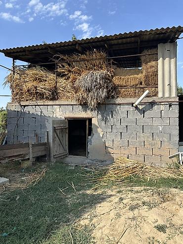 Продажа коттеджей и домов: 📍В Сокулуке продаются 2 дома, расположенные на участке 20 соток — 11